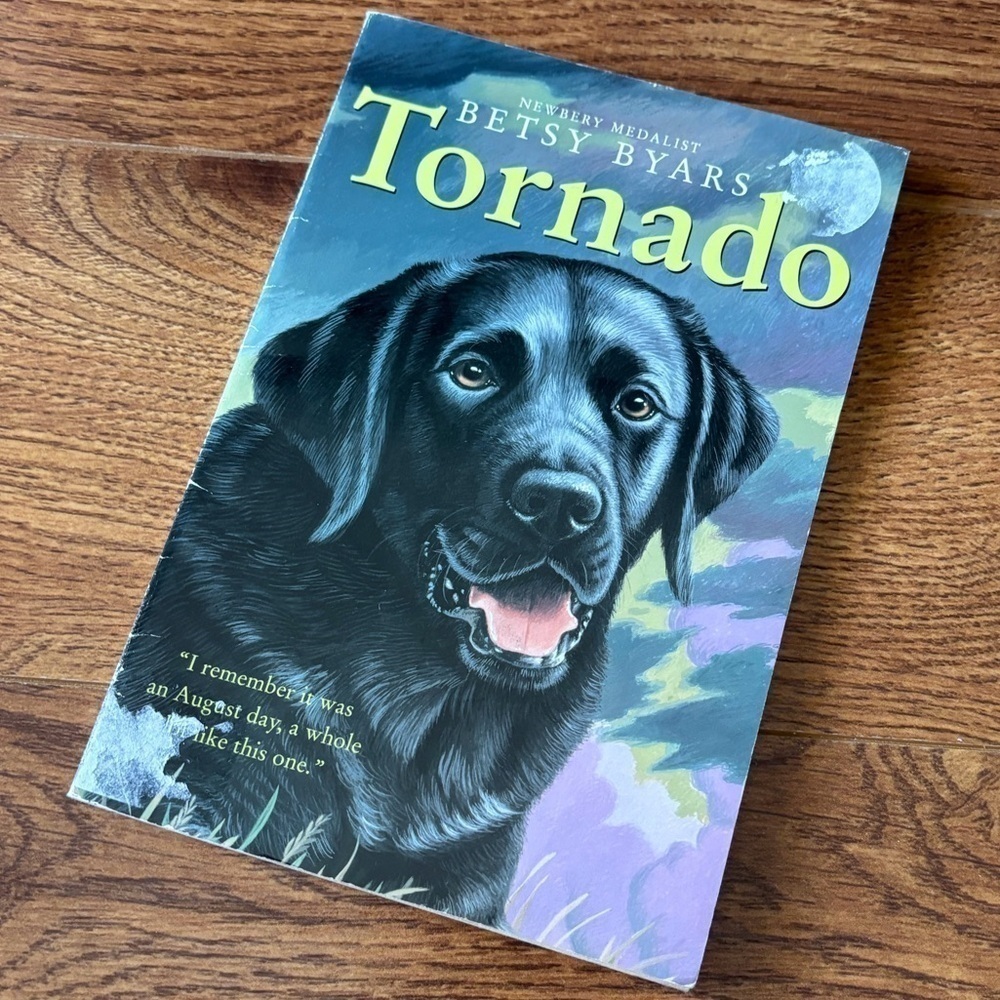 Tornado by: Betsy Byars paperback book
